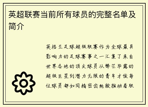 英超联赛当前所有球员的完整名单及简介