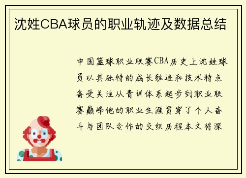 沈姓CBA球员的职业轨迹及数据总结